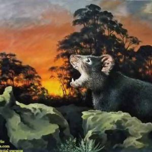 Tiếng gọi nơi hoang dã 1