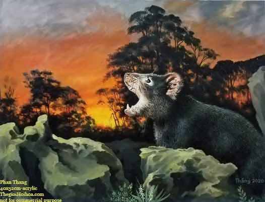 Tiếng gọi nơi hoang dã 1