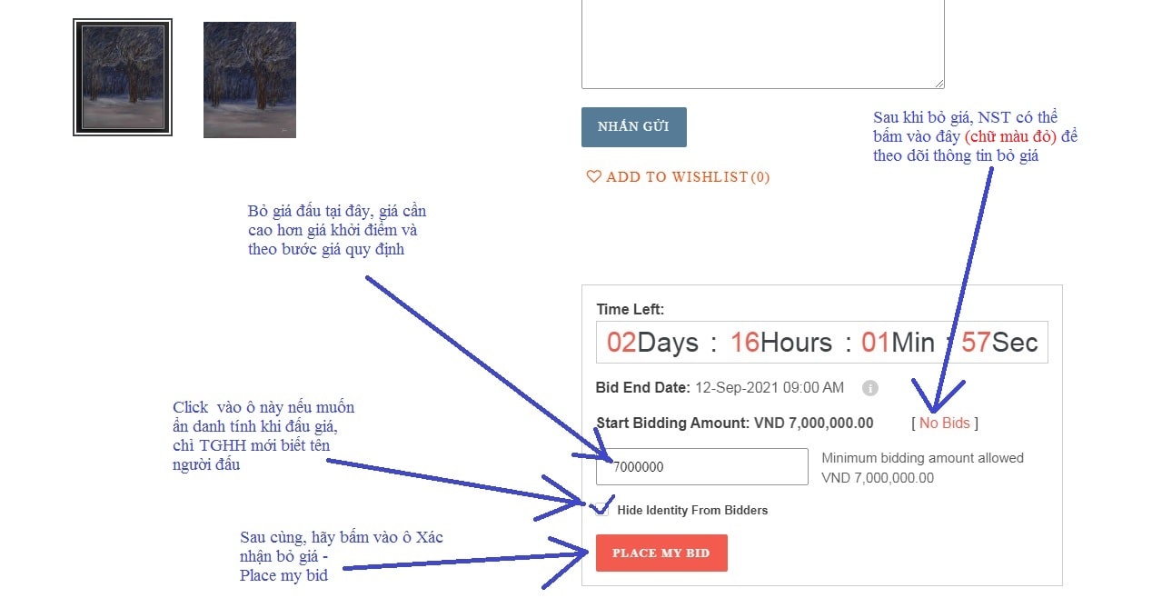 Nhà sưu tập bỏ giá, lựa chọn ẩn danh tính, xác nhận và xem thông tin đấu giá