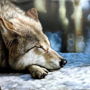 Vẽ tranh chân dung sơn dầu KT 20x25cm g1