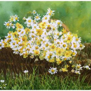 Tranh tĩnh vật "Mùa cúc về"