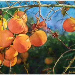 Có một mùa hồng Đà Lạt